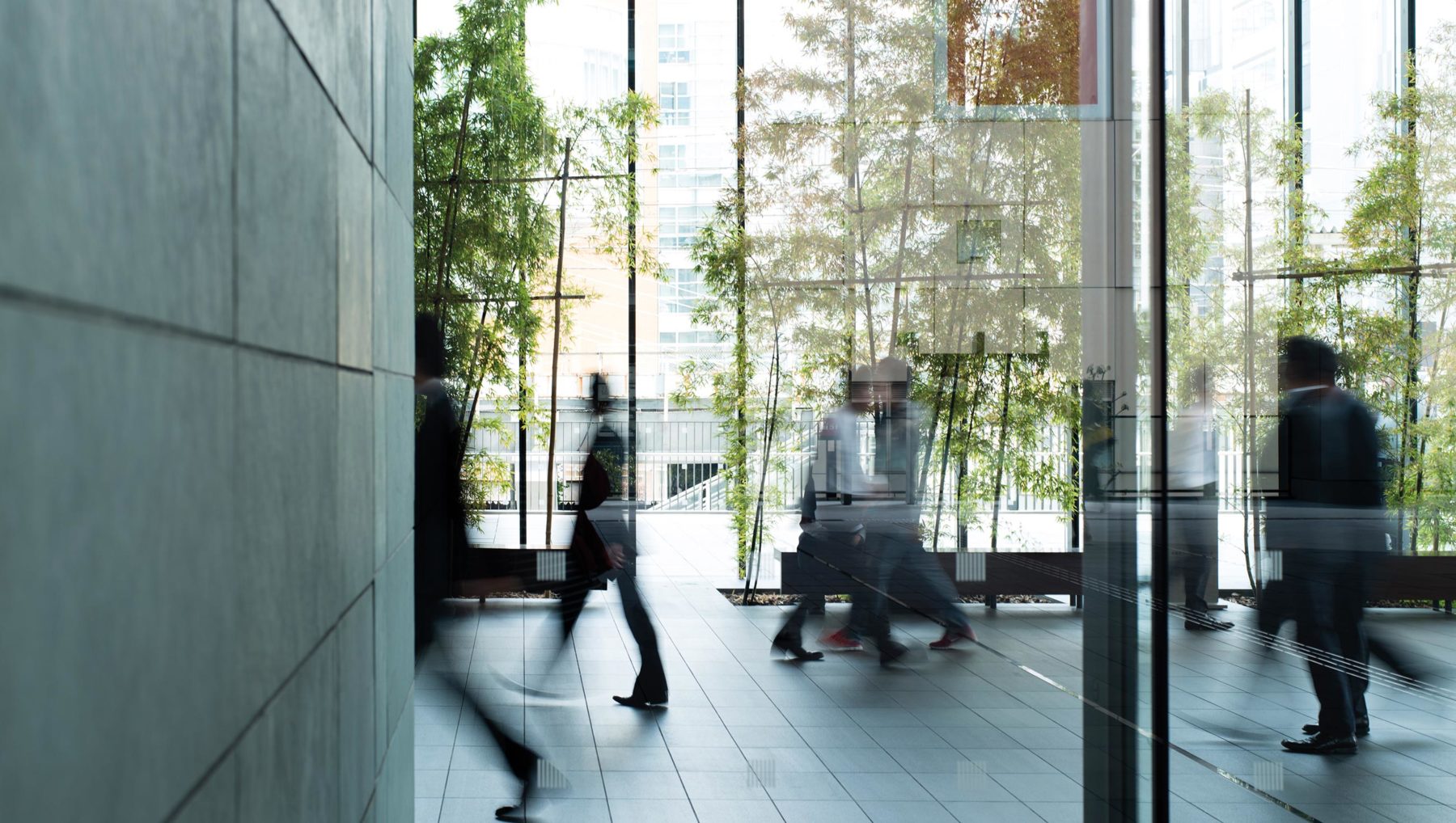 Solos Glass – TufGlas™